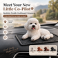 🔥 Offerta Limitata: Ornamento per Auto Barboncino – L’aggiornamento più carino per il cruscotto. Design adorabile e facile da installare, perfetto per dare personalità alla tua auto. 🐶✨