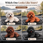 🔥 Offerta Limitata: Ornamento per Auto Barboncino – L’aggiornamento più carino per il cruscotto. Design adorabile e facile da installare, perfetto per dare personalità alla tua auto. 🐶✨