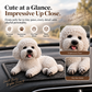 🔥 Offerta Limitata: Ornamento per Auto Barboncino – L’aggiornamento più carino per il cruscotto. Design adorabile e facile da installare, perfetto per dare personalità alla tua auto. 🐶✨