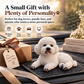 🔥 Offerta Limitata: Ornamento per Auto Barboncino – L’aggiornamento più carino per il cruscotto. Design adorabile e facile da installare, perfetto per dare personalità alla tua auto. 🐶✨