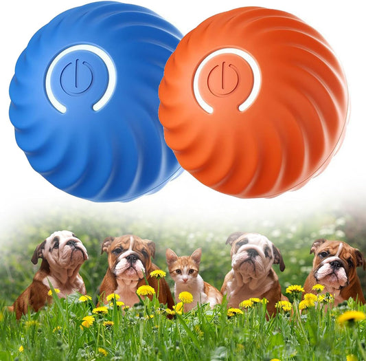 🔥 -50% Oggi: Pallina Automatica Intelligente per Cani – Si muove da sola, stimola il gioco, materiale resistente ai morsi, perfetta per intrattenere il tuo cane.