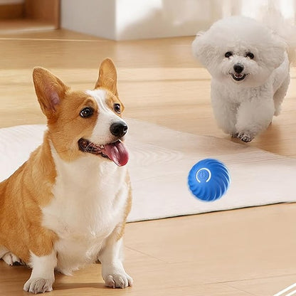 🔥 -50% Oggi: Pallina Automatica Intelligente per Cani – Si muove da sola, stimola il gioco, materiale resistente ai morsi, perfetta per intrattenere il tuo cane.