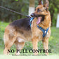 🐶 ORA AL 50% DI SCONTO! 🛡️ Pettorina per Cani No-Pull Anti-Tiro con Guinzaglio e Collare LED – Sicura, Ergonomica e Confortevole ✨