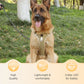 🐶 ORA AL 50% DI SCONTO! 🛡️ Pettorina per Cani No-Pull Anti-Tiro con Guinzaglio e Collare LED – Sicura, Ergonomica e Confortevole ✨