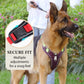 🐶 ORA AL 50% DI SCONTO! 🛡️ Pettorina per Cani No-Pull Anti-Tiro con Guinzaglio e Collare LED – Sicura, Ergonomica e Confortevole ✨