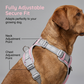 🐕 Pettorina Antitrazione con Guinzaglio - Mesh Traspirante | Cuciture Riflettenti | Maniglia di Controllo | Chiusura Rapida | Regolabile XS-2XL | Ideale per Passeggiate, Jogging & Addestramento ✨