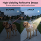🐕 Pettorina Antitrazione con Guinzaglio - Mesh Traspirante | Cuciture Riflettenti | Maniglia di Controllo | Chiusura Rapida | Regolabile XS-2XL | Ideale per Passeggiate, Jogging & Addestramento ✨