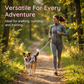 🐕 Pettorina Antitrazione con Guinzaglio - Mesh Traspirante | Cuciture Riflettenti | Maniglia di Controllo | Chiusura Rapida | Regolabile XS-2XL | Ideale per Passeggiate, Jogging & Addestramento ✨