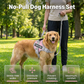 🐕 Pettorina Antitrazione con Guinzaglio - Mesh Traspirante | Cuciture Riflettenti | Maniglia di Controllo | Chiusura Rapida | Regolabile XS-2XL | Ideale per Passeggiate, Jogging & Addestramento ✨