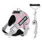 🐕 Pettorina Antitrazione con Guinzaglio - Mesh Traspirante | Cuciture Riflettenti | Maniglia di Controllo | Chiusura Rapida | Regolabile XS-2XL | Ideale per Passeggiate, Jogging & Addestramento ✨