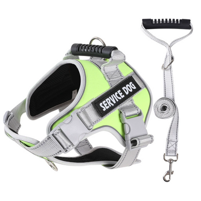🐕 Pettorina Antitrazione con Guinzaglio - Mesh Traspirante | Cuciture Riflettenti | Maniglia di Controllo | Chiusura Rapida | Regolabile XS-2XL | Ideale per Passeggiate, Jogging & Addestramento ✨