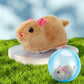 🐹 Electric Plush Hamster Rolling Ball Toy – Crafted from child-safe, soft plush materials with no sharp edges. Built to withstand bumps & tumbles, and easy to wipe clean after messy play 🧼