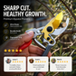 🔥✂️ Pota in Modo Pulito e Veloce! Cesoie da Giardino Potenti SK5 – Ideali per Rametti, Siepi e Lavori di Giardinaggio ✨